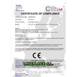 opaque goggles and IPL laser protection for patients