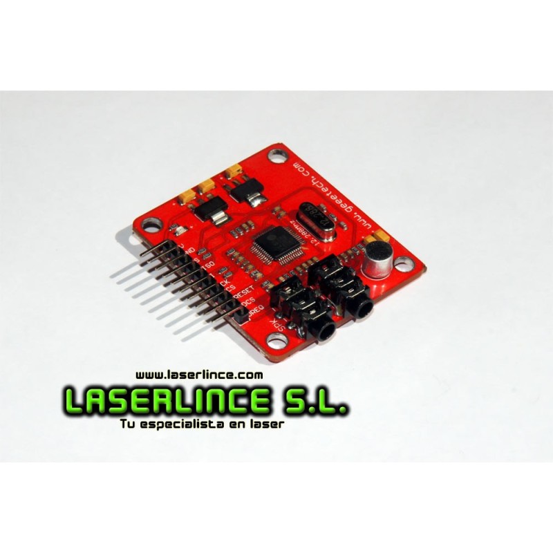 Module for audio playback and recording, MP3 player with SD